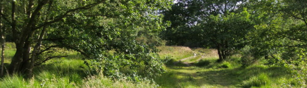 Cognitive Hypnotherapist and Psychodynamic Counsellor
